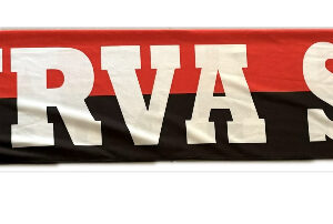 Alternative view of Sciarpa in Raso